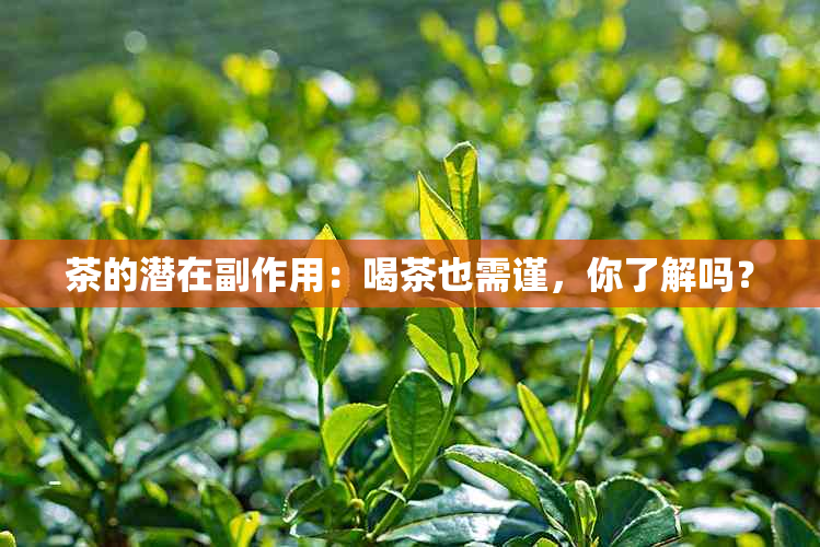 茶的潜在副作用：喝茶也需谨，你了解吗？