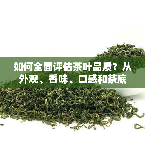 如何全面评估茶叶品质？从外观、香味、口感和茶底等方面进行判断