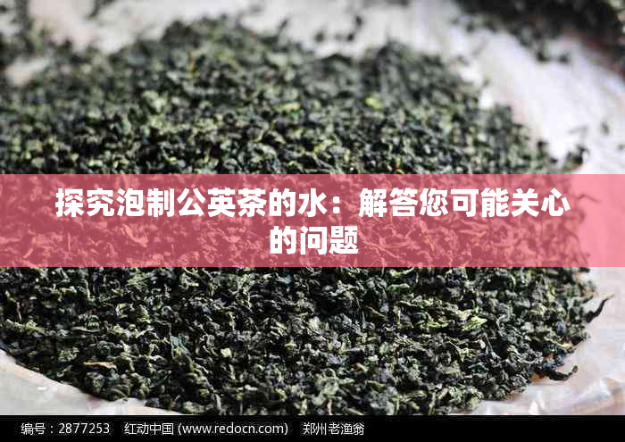 探究泡制公英茶的水：解答您可能关心的问题