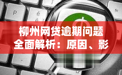 柳州网贷逾期问题全面解析：原因、影响、解决方案及如何预防