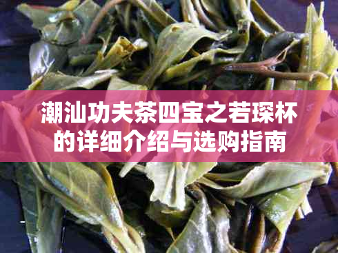 潮汕功夫茶四宝之若琛杯的详细介绍与选购指南