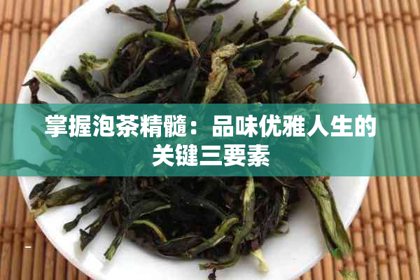 掌握泡茶精髓：品味优雅人生的关键三要素