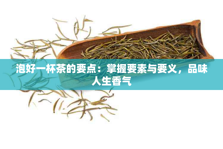 泡好一杯茶的要点：掌握要素与要义，品味人生香气