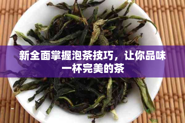 新全面掌握泡茶技巧，让你品味一杯完美的茶