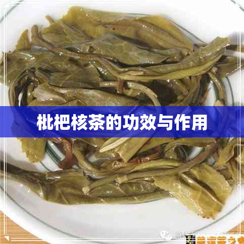 枇杷核茶的功效与作用