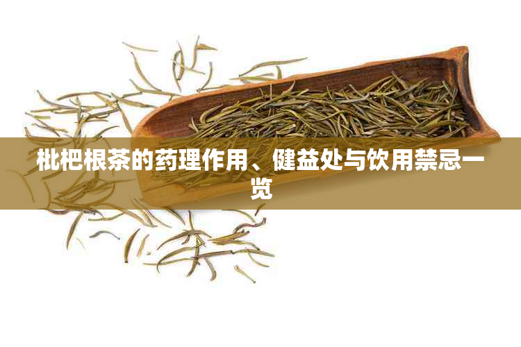 枇杷根茶的理作用、健益处与饮用禁忌一览