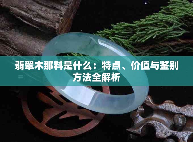 翡翠木那料是什么：特点、价值与鉴别方法全解析