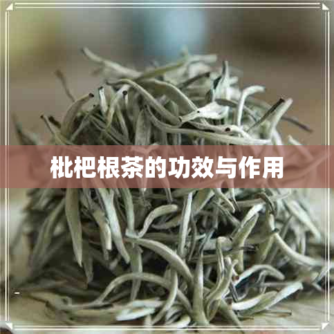 枇杷根茶的功效与作用