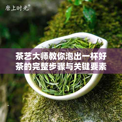 茶艺大师教你泡出一杯好茶的完整步骤与关键要素