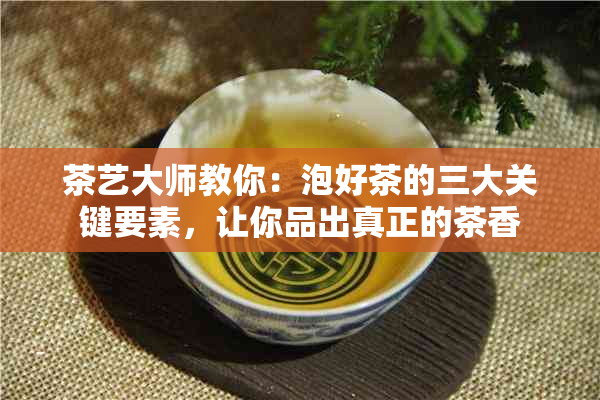 茶艺大师教你：泡好茶的三大关键要素，让你品出真正的茶香