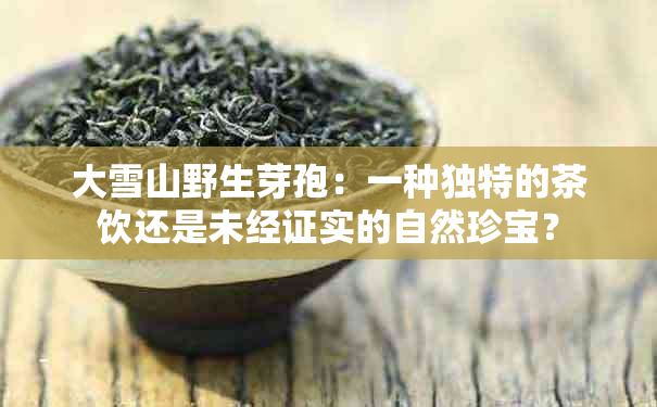 大雪山野生芽孢：一种独特的茶饮还是未经证实的自然珍宝？