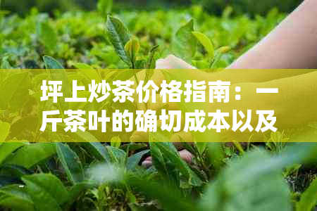 坪上炒茶价格指南：一斤茶叶的确切成本以及购买地点和时的潜在影响