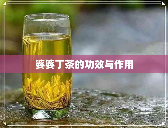 婆婆丁茶的功效与作用