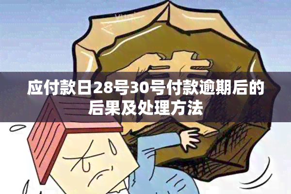 应付款日28号30号付款逾期后的后果及处理方法