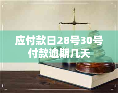 应付款日28号30号付款逾期几天