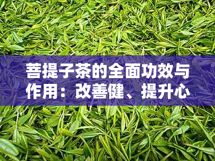 菩提子茶的全面功效与作用：改善健、提升心情及增强注意力