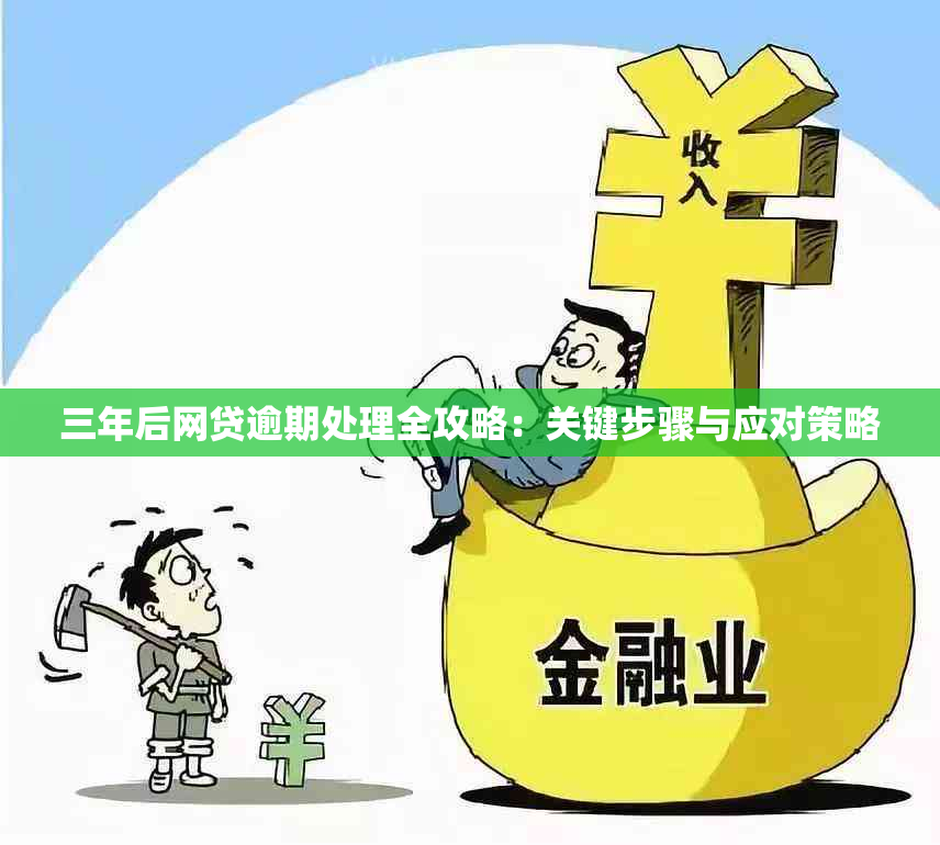 三年后网贷逾期处理全攻略：关键步骤与应对策略