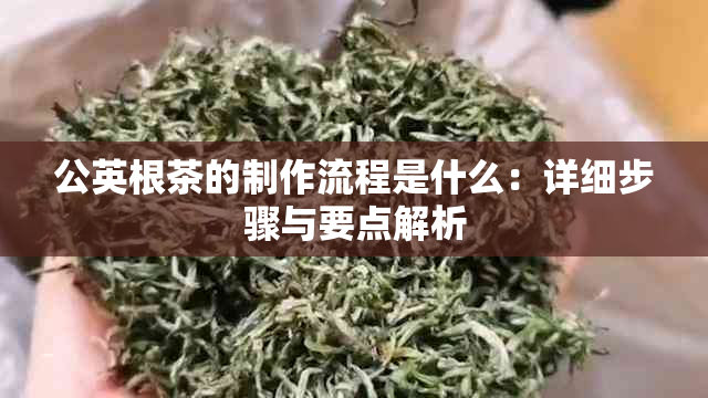 公英根茶的制作流程是什么：详细步骤与要点解析