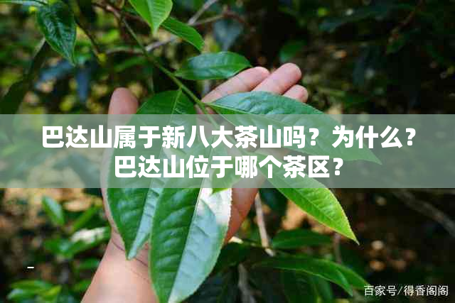 巴达山属于新八大茶山吗？为什么？巴达山位于哪个茶区？