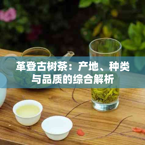 革登古树茶：产地、种类与品质的综合解析