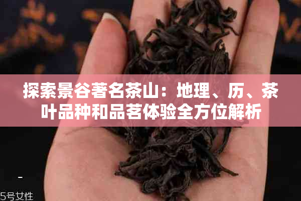 探索景谷著名茶山：地理、历、茶叶品种和品茗体验全方位解析