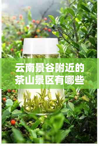 云南景谷附近的茶山景区有哪些？