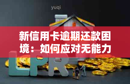 新信用卡逾期还款困境：如何应对无能力偿还的局面？