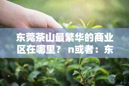 东莞茶山最繁华的商业区在哪里？ n或者：东莞哪个区域是茶山的商业中心？