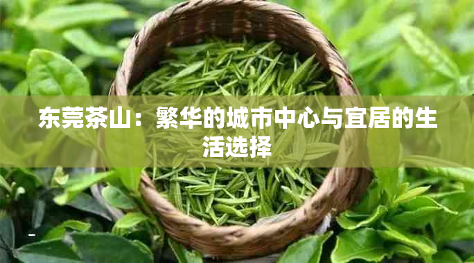 东莞茶山：繁华的城市中心与宜居的生活选择