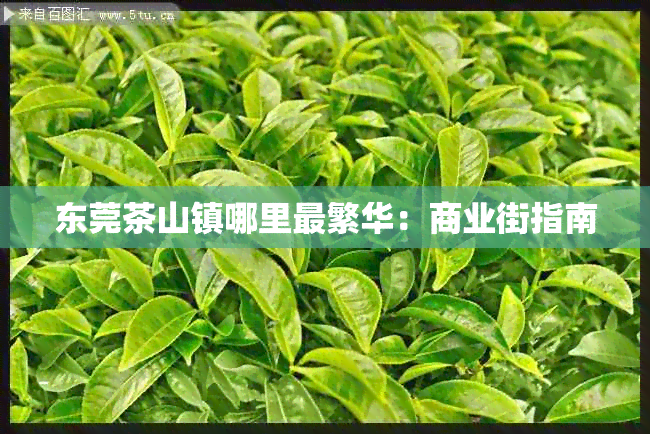 东莞茶山镇哪里最繁华：商业街指南