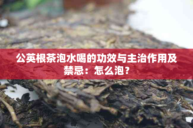 公英根茶泡水喝的功效与主治作用及禁忌：怎么泡？