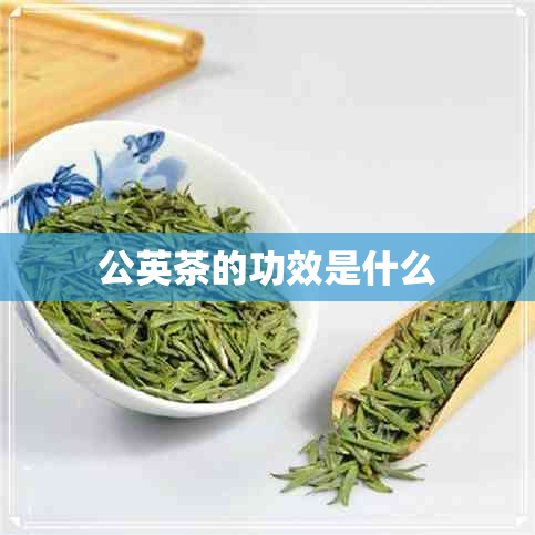 公英茶的功效是什么