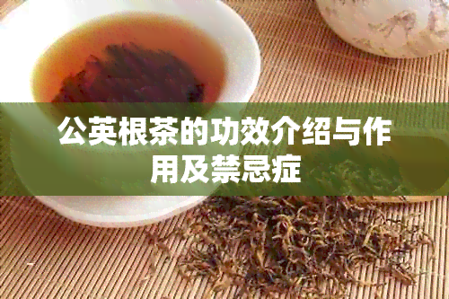 公英根茶的功效介绍与作用及禁忌症