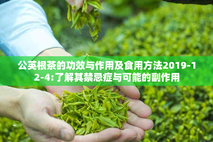 公英根茶的功效与作用及食用方法2019-12-4:了解其禁忌症与可能的副作用