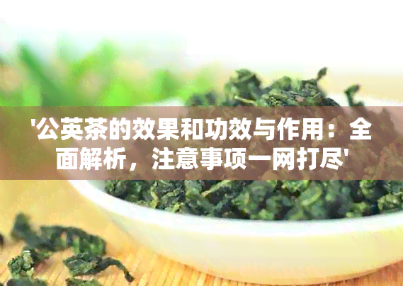 '公英茶的效果和功效与作用：全面解析，注意事项一网打尽'