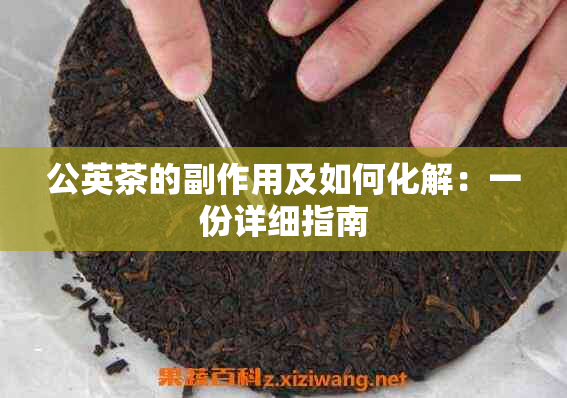 公英茶的副作用及如何化解：一份详细指南