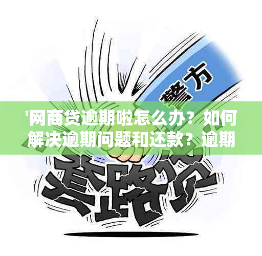 '网商贷逾期啦怎么办？如何解决逾期问题和还款？逾期后的后果是什么？'