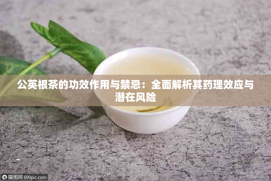 公英根茶的功效作用与禁忌：全面解析其理效应与潜在风险