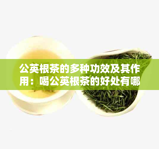 公英根茶的多种功效及其作用：喝公英根茶的好处有哪些？