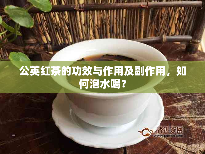 公英红茶的功效与作用及副作用，如何泡水喝？