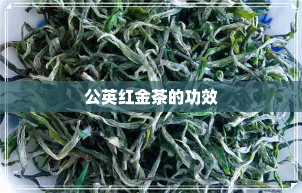 公英红金茶的功效