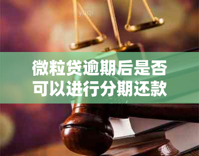 微粒贷逾期后是否可以进行分期还款申请？如何重新提交反馈？