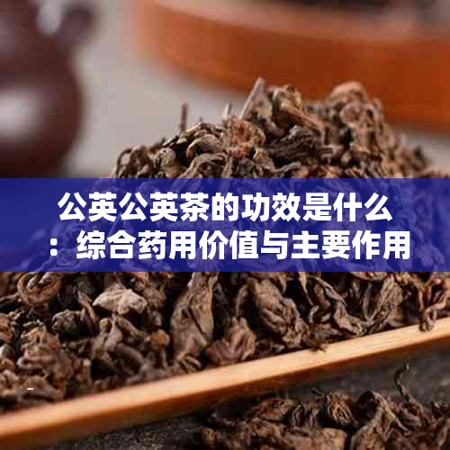 公英公英茶的功效是什么：综合用价值与主要作用解析