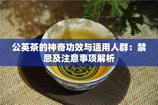 公英茶的神奇功效与适用人群：禁忌及注意事项解析