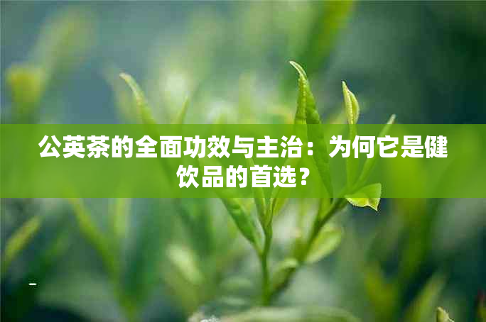 公英茶的全面功效与主治：为何它是健饮品的首选？