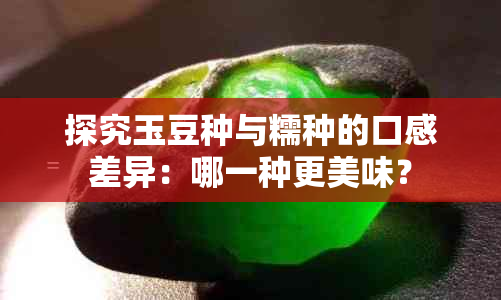 探究玉豆种与糯种的口感差异：哪一种更美味？