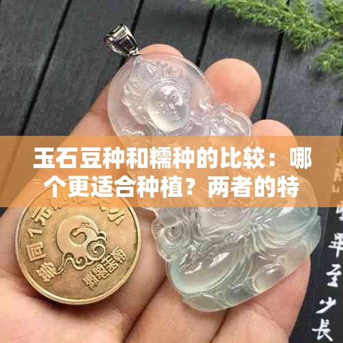 玉石豆种和糯种的比较：哪个更适合种植？两者的特点和优劣势分析