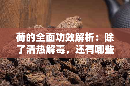 荷的全面功效解析：除了清热解，还有哪些作用？