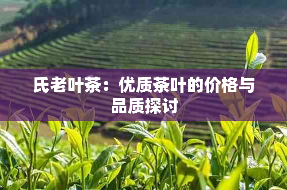 氏老叶茶：优质茶叶的价格与品质探讨