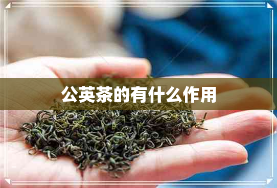 公英茶的有什么作用